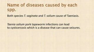 Name of diseases caused by each
spp.
Both species T. saginata and T. solium cause of Taeniasis.
Taenia solium pork tapeworm infections can lead
to cysticercosis which is a disease that can cause seizures.
 
