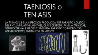 TAENIOSIS o
TENIASIS
LA TAENIOSIS ES LA INFECCIÓN PRODUCIDA POR PARÁSITO ADULTOS
DEL PHYLUM PLATYHELMINTHES, CLASE CESTODA, FAMILIA TAENIIDAE,
GÉNERO TAENIA, ESPECIES T. SAGINATA PARÁSITO COSMOPOLITAS,
HERMAFRODITAS, ENDÉMICOS EN MÉXICO.
 