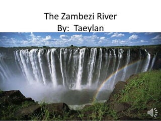 The Zambezi River
   By: Taeylan
 