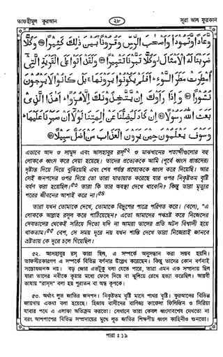 Tafhimul_Quran_Bangla.pdf