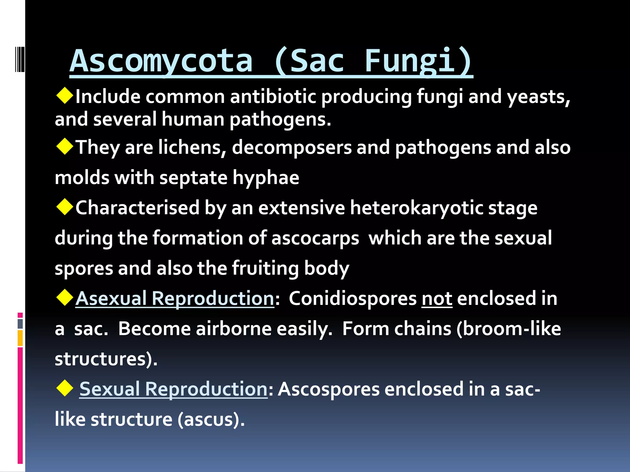 Ascomycota (Sac Fungi)
Include common antibiotic producing fungi and yeasts,
and several human pathogens.
They are lichens, decomposers and pathogens and also
molds with septate hyphae
Characterised by an extensive heterokaryotic stage
during the formation of ascocarps which are the sexual
spores and also the fruiting body
Asexual Reproduction: Conidiospores not enclosed in
a sac. Become airborne easily. Form chains (broom-like
structures).
 Sexual Reproduction: Ascospores enclosed in a sac-
like structure (ascus).
 