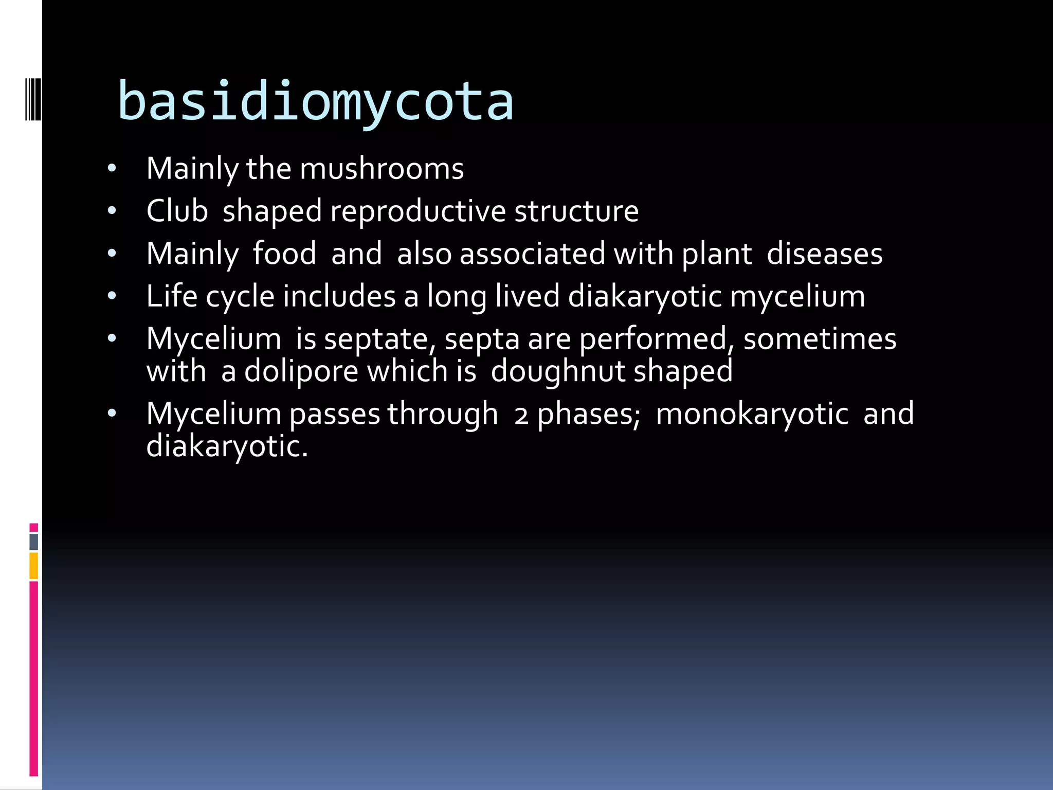 basidiomycota
• Mainly the mushrooms
• Club shaped reproductive structure
• Mainly food and also associated with plant diseases
• Life cycle includes a long lived diakaryotic mycelium
• Mycelium is septate, septa are performed, sometimes
with a dolipore which is doughnut shaped
• Mycelium passes through 2 phases; monokaryotic and
diakaryotic.
 