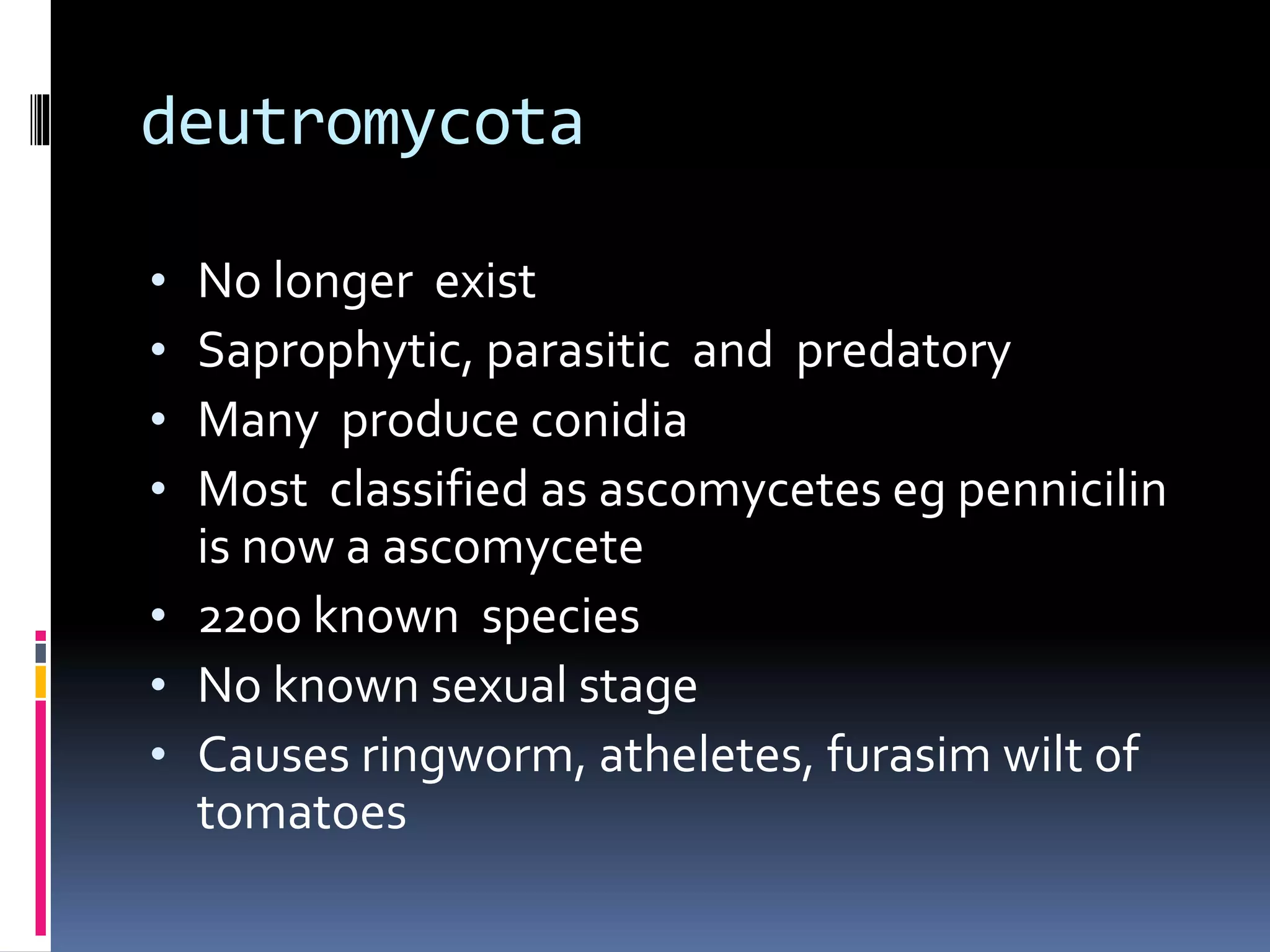 deutromycota
• No longer exist
• Saprophytic, parasitic and predatory
• Many produce conidia
• Most classified as ascomycetes eg pennicilin
is now a ascomycete
• 2200 known species
• No known sexual stage
• Causes ringworm, atheletes, furasim wilt of
tomatoes
 