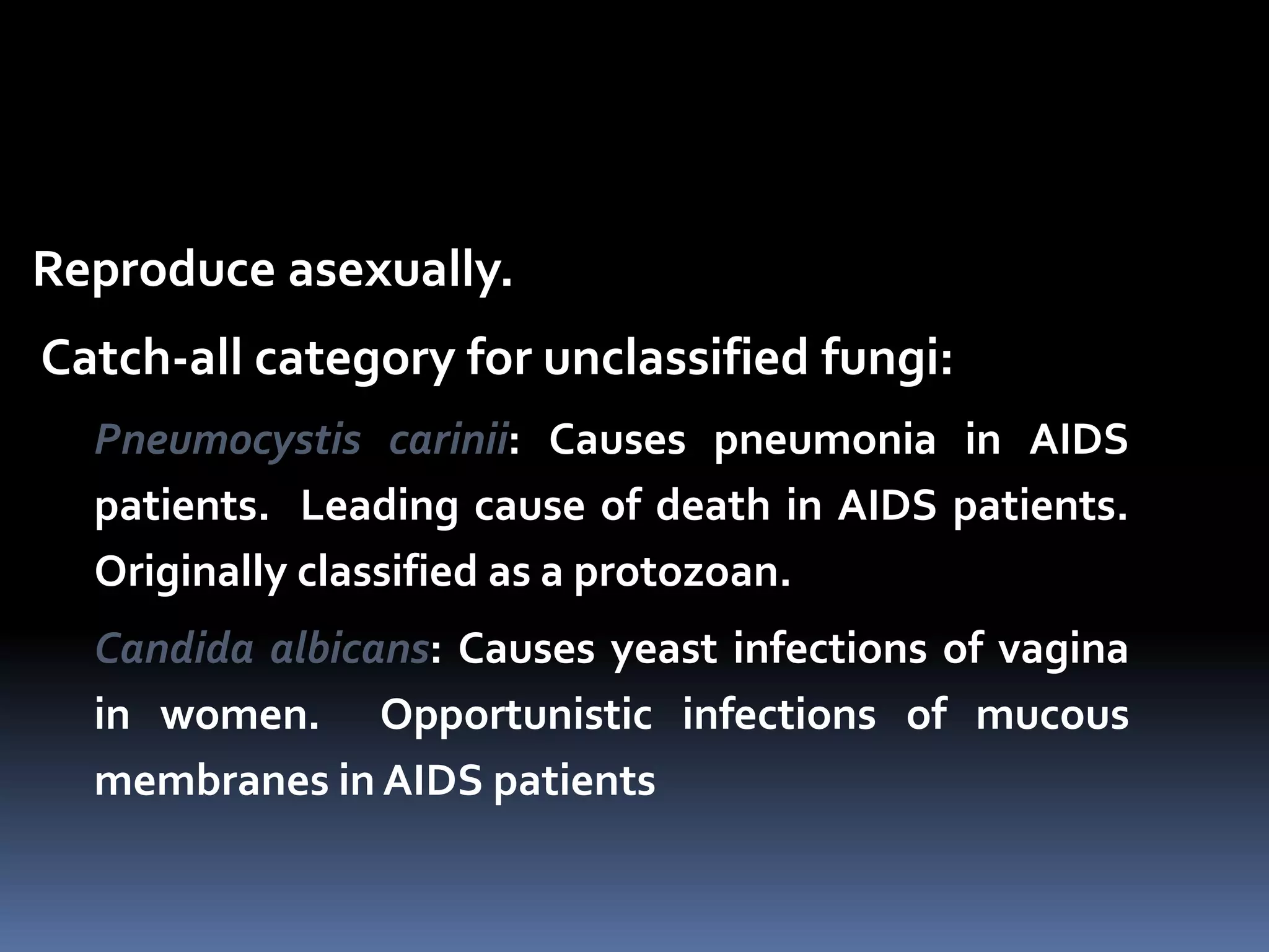 Reproduce asexually.
Catch-all category for unclassified fungi:
Pneumocystis carinii: Causes pneumonia in AIDS
patients. Leading cause of death in AIDS patients.
Originally classified as a protozoan.
Candida albicans: Causes yeast infections of vagina
in women. Opportunistic infections of mucous
membranes in AIDS patients
 