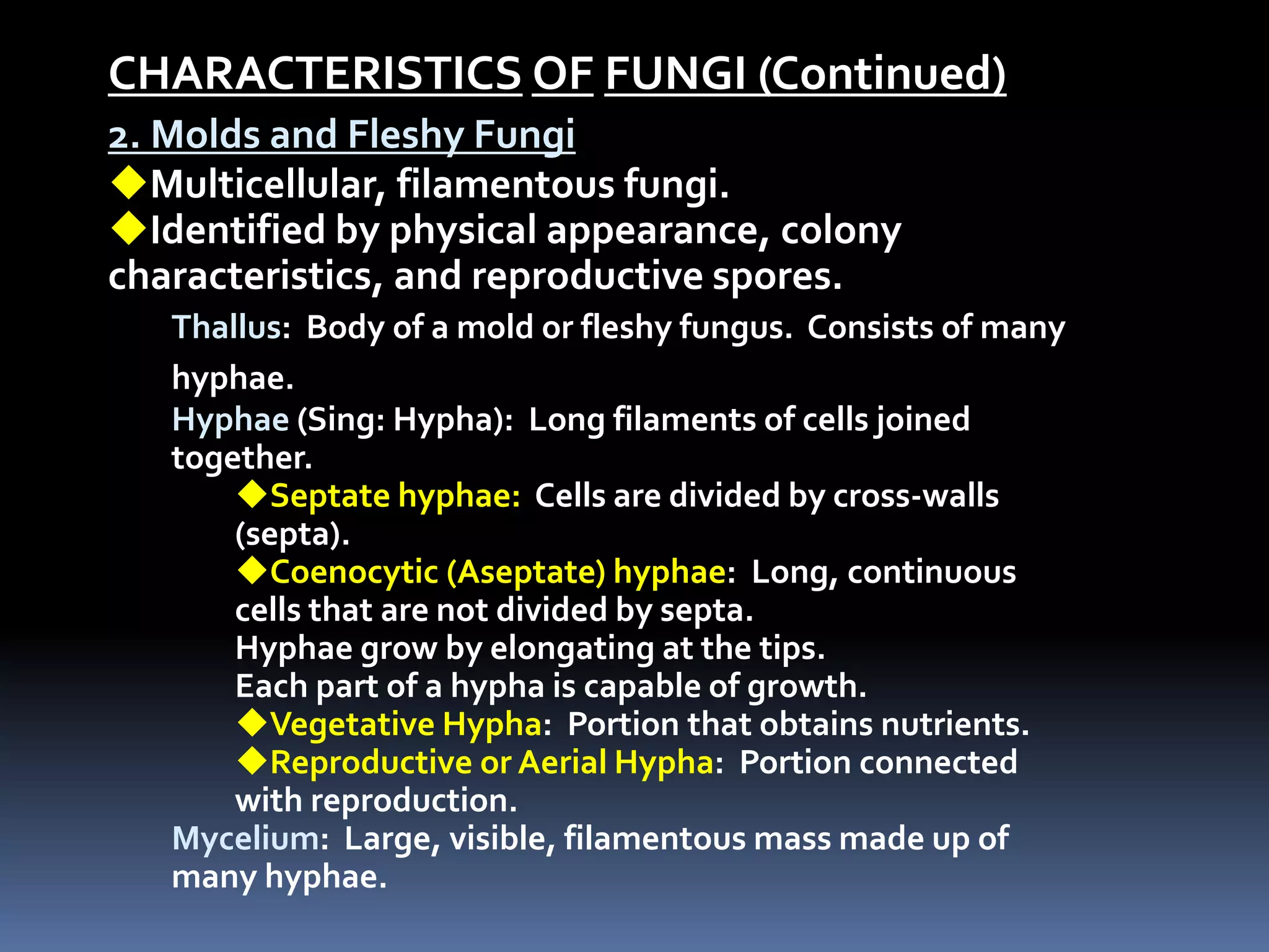 CHARACTERISTICS OF FUNGI (Continued)
2. Molds and Fleshy Fungi
Multicellular, filamentous fungi.
Identified by physical appearance, colony
characteristics, and reproductive spores.
Thallus: Body of a mold or fleshy fungus. Consists of many
hyphae.
Hyphae (Sing: Hypha): Long filaments of cells joined
together.
Septate hyphae: Cells are divided by cross-walls
(septa).
Coenocytic (Aseptate) hyphae: Long, continuous
cells that are not divided by septa.
Hyphae grow by elongating at the tips.
Each part of a hypha is capable of growth.
Vegetative Hypha: Portion that obtains nutrients.
Reproductive or Aerial Hypha: Portion connected
with reproduction.
Mycelium: Large, visible, filamentous mass made up of
many hyphae.
 