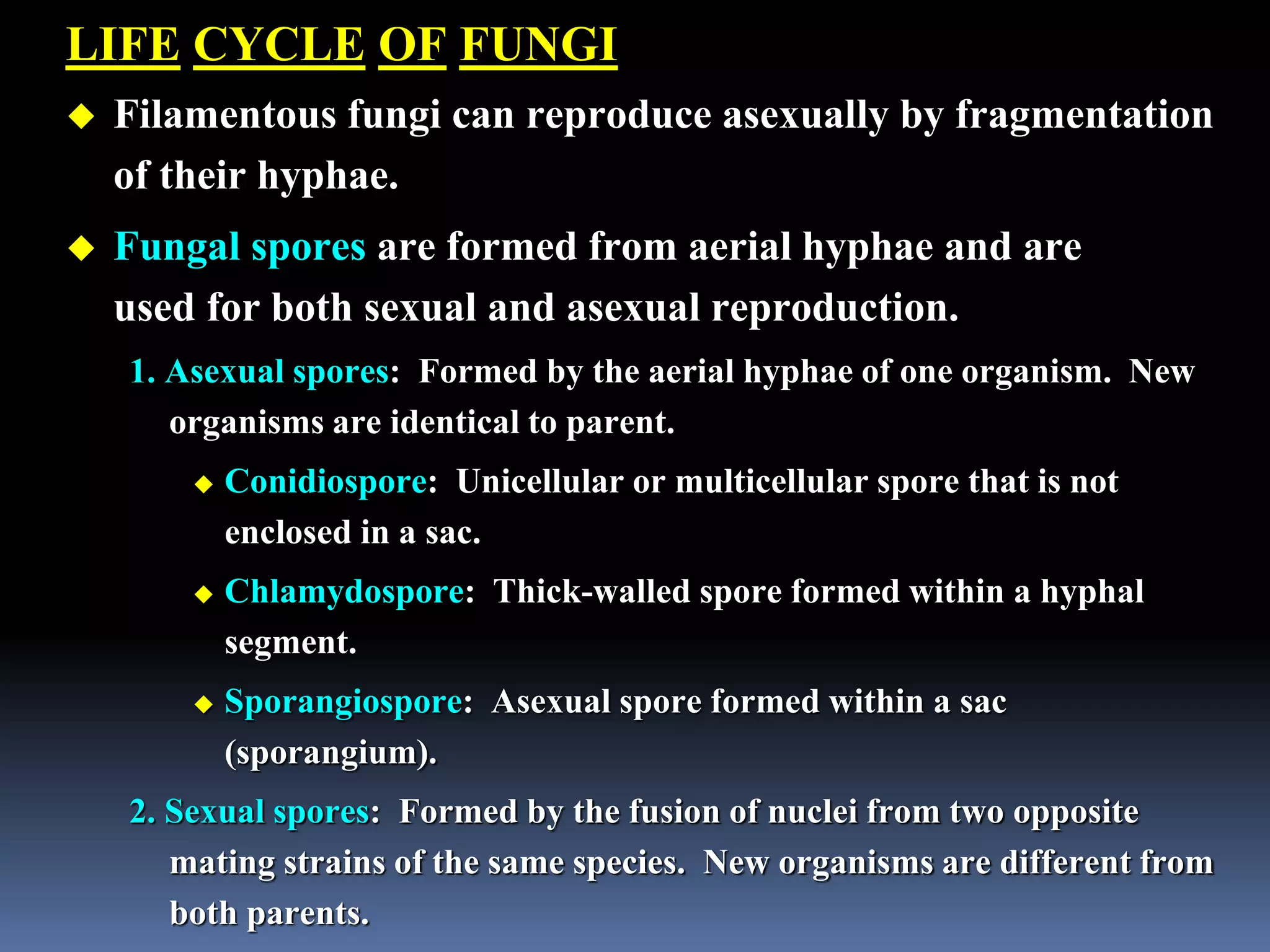 LIFE CYCLE OF FUNGI
 Filamentous fungi can reproduce asexually by fragmentation
of their hyphae.
 Fungal spores are formed from aerial hyphae and are
used for both sexual and asexual reproduction.
1. Asexual spores: Formed by the aerial hyphae of one organism. New
organisms are identical to parent.
 Conidiospore: Unicellular or multicellular spore that is not
enclosed in a sac.
 Chlamydospore: Thick-walled spore formed within a hyphal
segment.
 Sporangiospore: Asexual spore formed within a sac
(sporangium).
2. Sexual spores: Formed by the fusion of nuclei from two opposite
mating strains of the same species. New organisms are different from
both parents.
 