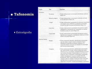 ■■ TafonomiaTafonomia
♦♦ EstratigrafiaEstratigrafia
 