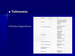 ■■ TafonomiaTafonomia
♦♦ Feições diagenéticasFeições diagenéticas
 