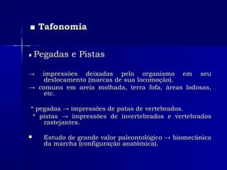 ■■ TafonomiaTafonomia
♦♦ Pegadas e PistasPegadas e Pistas
→→ impressões deixadas pelo organismo em seuimpressões deixadas pelo organismo em seu
deslocamento (marcas de sua locomoção).deslocamento (marcas de sua locomoção).
→→ comuns em areia molhada, terra fofa, áreas lodosas,comuns em areia molhada, terra fofa, áreas lodosas,
etc.etc.
* pegadas → impressões de patas de vertebrados.* pegadas → impressões de patas de vertebrados.
* pistas → impressões de invertebrados e vertebrados* pistas → impressões de invertebrados e vertebrados
rastejantes.rastejantes.
 Estudo de grande valor paleontológico → biomecânicaEstudo de grande valor paleontológico → biomecânica
da marcha (configuração anatômica).da marcha (configuração anatômica).
 