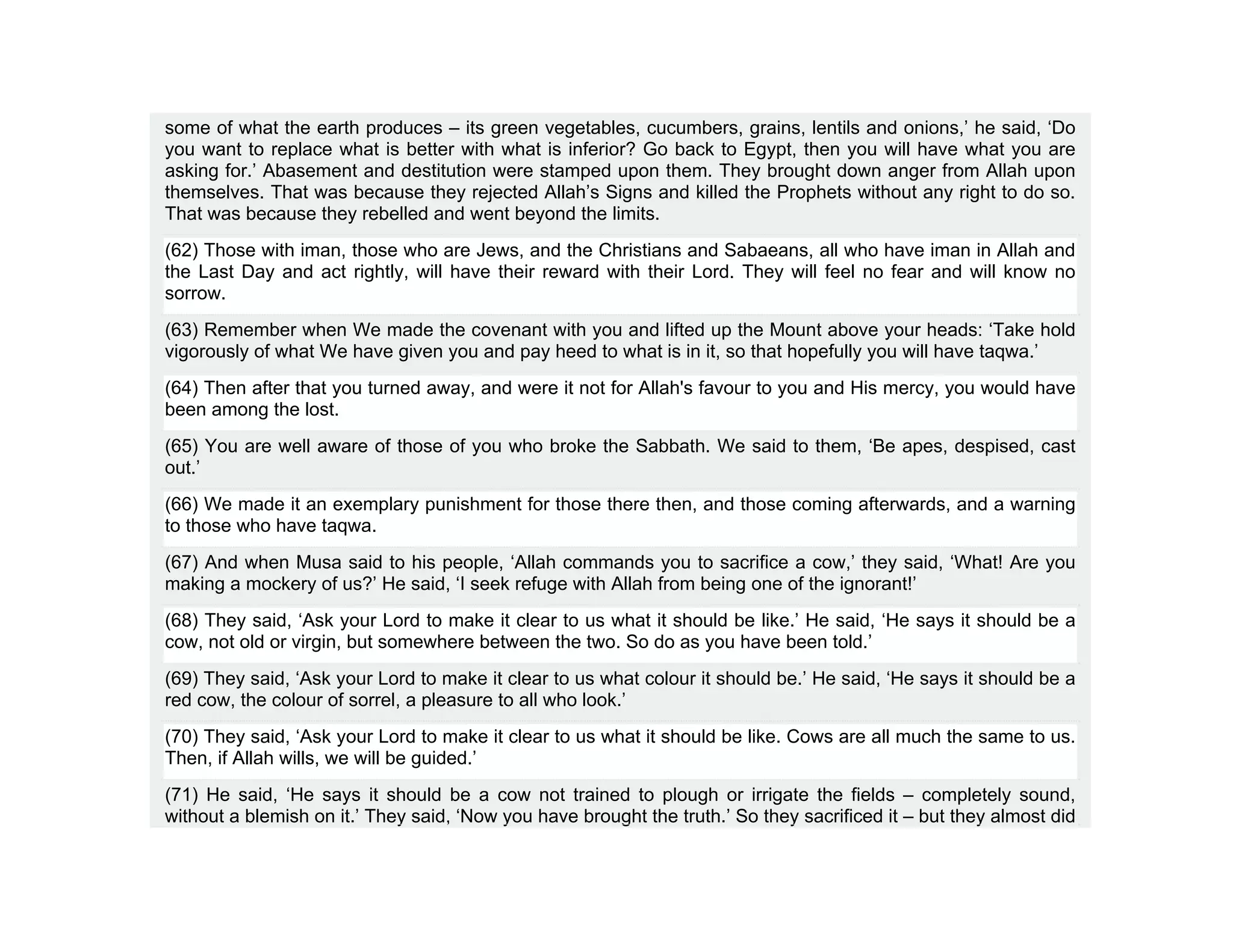 some of what the earth produces – its green vegetables, cucumbers, grains, lentils and onions,’ he said, ‘Do
you want to replace what is better with what is inferior? Go back to Egypt, then you will have what you are
asking for.’ Abasement and destitution were stamped upon them. They brought down anger from Allah upon
themselves. That was because they rejected Allah’s Signs and killed the Prophets without any right to do so.
That was because they rebelled and went beyond the limits.
(62) Those with iman, those who are Jews, and the Christians and Sabaeans, all who have iman in Allah and
the Last Day and act rightly, will have their reward with their Lord. They will feel no fear and will know no
sorrow.
(63) Remember when We made the covenant with you and lifted up the Mount above your heads: ‘Take hold
vigorously of what We have given you and pay heed to what is in it, so that hopefully you will have taqwa.’
(64) Then after that you turned away, and were it not for Allah's favour to you and His mercy, you would have
been among the lost.
(65) You are well aware of those of you who broke the Sabbath. We said to them, ‘Be apes, despised, cast
out.’
(66) We made it an exemplary punishment for those there then, and those coming afterwards, and a warning
to those who have taqwa.
(67) And when Musa said to his people, ‘Allah commands you to sacrifice a cow,’ they said, ‘What! Are you
making a mockery of us?’ He said, ‘I seek refuge with Allah from being one of the ignorant!’
(68) They said, ‘Ask your Lord to make it clear to us what it should be like.’ He said, ‘He says it should be a
cow, not old or virgin, but somewhere between the two. So do as you have been told.’
(69) They said, ‘Ask your Lord to make it clear to us what colour it should be.’ He said, ‘He says it should be a
red cow, the colour of sorrel, a pleasure to all who look.’
(70) They said, ‘Ask your Lord to make it clear to us what it should be like. Cows are all much the same to us.
Then, if Allah wills, we will be guided.’
(71) He said, ‘He says it should be a cow not trained to plough or irrigate the fields – completely sound,
without a blemish on it.’ They said, ‘Now you have brought the truth.’ So they sacrificed it – but they almost did
 