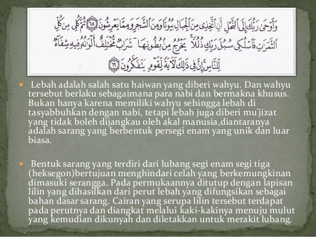 Tafsir Al Kabir Mafatih Al Ghaib Oleh Imam Fakhruddin Ar Razi