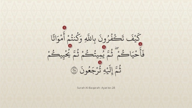 Tafsir surah Al-Baqarah ayat 28-29