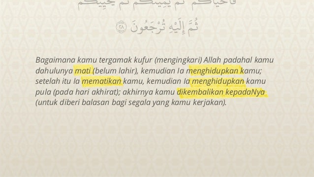 Tafsir surah Al-Baqarah ayat 28-29