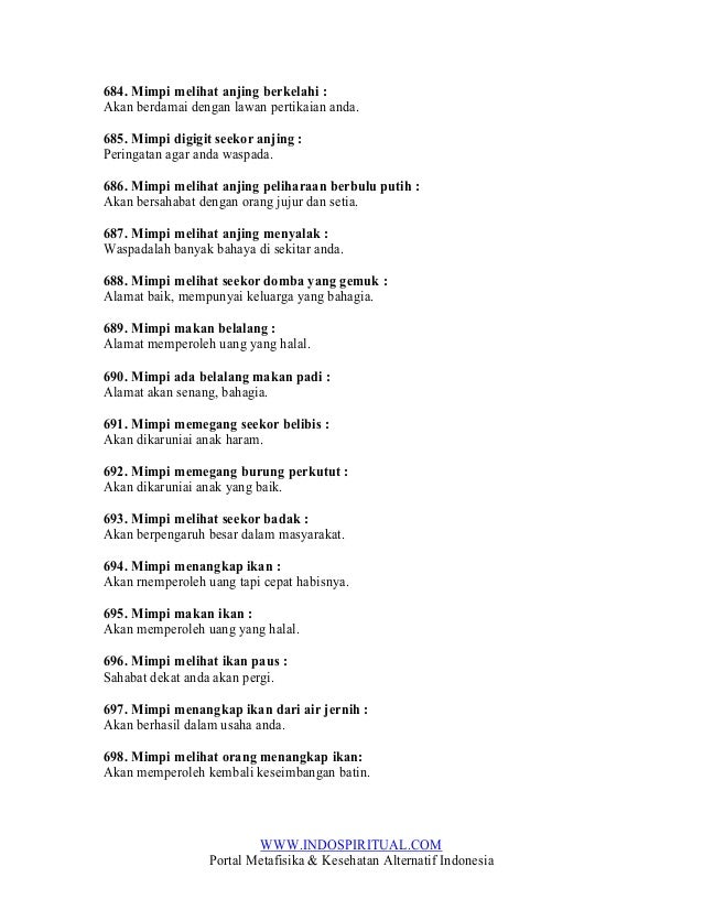 Mimpi Anjing Dan Kucing Berkelahi Apa arti bermimpi lihat anjing