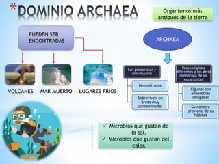 *
ARCHAEA
Organismos más
antiguos de la tierra
Son procariotas y
unicelulares
Heterótrofas
Sobreviven en
áreas muy
contaminadas
Poseen lípidos
diferentes a los de la
membrana de los
eucariontes
Algunas son
anaerobias
obligadas
Su nombre
proviene de su
hábitat
PUEDEN SER
ENCONTRADAS
VOLCANES MAR MUERTO LUGARES FRIOS
 Microbios que gustan de
la sal.
 Microbios que gustan del
calor.
 