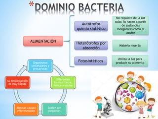 *
Organismos
unicelulares y
procariotas
Diferentes
formas: barra,
hélice y esfera
Suelen ser
pequeñas
Algunas causan
enfermedades
Su reproducción
es muy rápida
ALIMENTACIÓN
Autótrofos
quimio sintético
No requiere de la luz
solar, lo hacen a partir
de sustancias
inorgánicas como el
azufre
Fotosintéticos
Utiliza la luz para
producir su alimento
Heterótrofos por
absorción
Materia muerta
 
