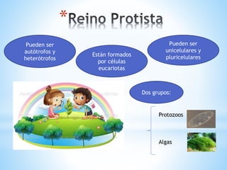 *
Están formados
por células
eucariotas
Pueden ser
unicelulares y
pluricelulares
Pueden ser
autótrofos y
heterótrofos
Dos grupos:
Protozoos
Algas
 