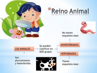 *
LOS ANIMALES
Se pueden
clasificar en
DOS grupos
VERTEBRADOS
INVERTEBRADOS
Tienen
esqueleto óseo
No tienen
esqueleto óseo
Son
pluricelulares
y heterótrofos
 
