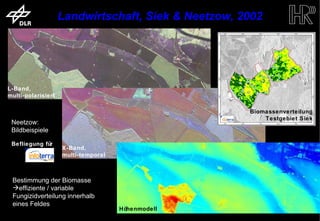 Landwirtschaft, Siek & Neetzow, 2002




     L-Band,
     multi-polarisiert

                                                                              Biomassenverteilung
                                                                                  Testgebiet Siek
       Neetzow:
       Bildbeispiele

       Befliegung für
                                    X-Band,
                                    multi-temporal



        Bestimmung der Biomasse
        effiziente / variable
        Fungizidverteilung innerhalb
        eines Feldes
                                                     Höhenmodell
trum für Luft- und Raumfahrt e.V.                                  Folie 16   Institut für Hochfrequenztechnik und Rada
 