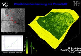 Waldhöhenbestimmung mit Pol-InSAR




      Radarrückstreukarte in L-HH




                                              ...