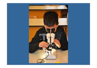 Tag der offenen Tür