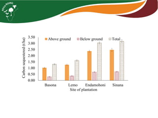 Tagasaste (Chamaecytisus palmensis) as a source of high quality fodder supplement in smallholder mixed crop-livestock systems 