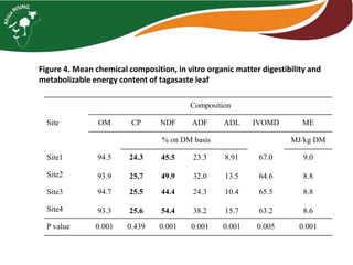 Tagasaste (Chamaecytisus palmensis) as a source of high quality fodder supplement in smallholder mixed crop-livestock systems 