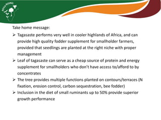 Tagasaste (Chamaecytisus palmensis) as a source of high quality fodder supplement in smallholder mixed crop-livestock systems 
