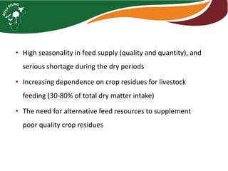 Tagasaste (Chamaecytisus palmensis) as a source of high quality fodder supplement in smallholder mixed crop-livestock systems 