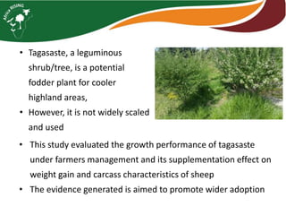 Tagasaste (Chamaecytisus palmensis) as a source of high quality fodder supplement in smallholder mixed crop-livestock systems 