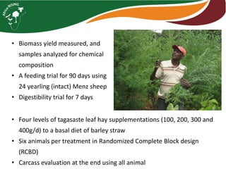Tagasaste (Chamaecytisus palmensis) as a source of high quality fodder supplement in smallholder mixed crop-livestock systems 