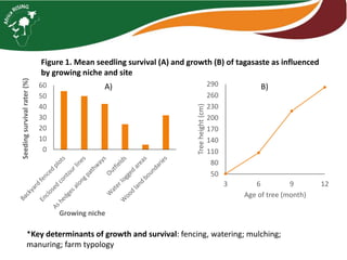 Tagasaste (Chamaecytisus palmensis) as a source of high quality fodder supplement in smallholder mixed crop-livestock systems 