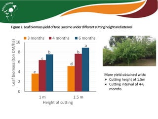 Tagasaste (Chamaecytisus palmensis) as a source of high quality fodder supplement in smallholder mixed crop-livestock systems 