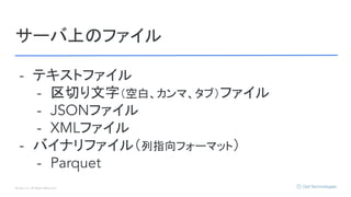© Opt, Inc. All Rights Reserved.
サーバ上のファイル
- テキストファイル
- 区切り文字（空白、カンマ、タブ）ファイル
- JSONファイル
- XMLファイル
- バイナリファイル（列指向フォーマット）
- Parquet
 
