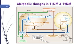 Metabolic changes in T1DM & T2DM
Saturday, July 2,
2016
Rajesh Chaudhary
11
 