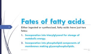 Either ingested or synthesized, fatty acids have just two
fates:
1. Incorporation into triacylglycerol for storage of
metabolic energy.
2. Incorporation into phospholipid components of
membranes making glycerophospholipids.
Saturday, July 2,
2016
Rajesh Chaudhary
3
 
