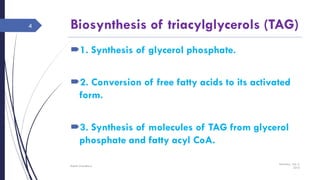Biosynthesis of triacylglycerols (TAG)
1. Synthesis of glycerol phosphate.
2. Conversion of free fatty acids to its activated
form.
3. Synthesis of molecules of TAG from glycerol
phosphate and fatty acyl CoA.
Saturday, July 2,
2016
Rajesh Chaudhary
4
 