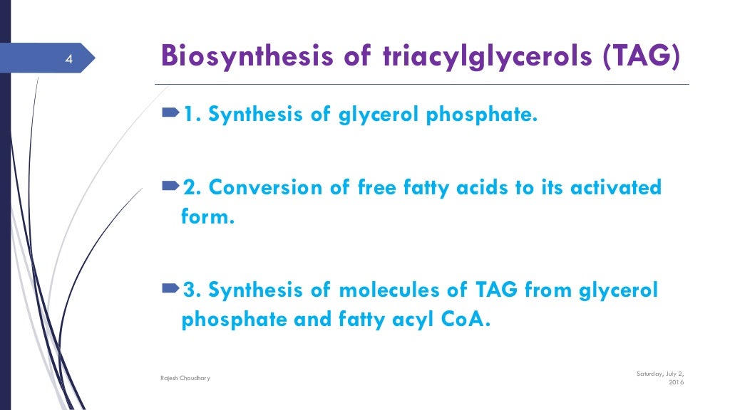 Tag biosynthesis, storage and functions