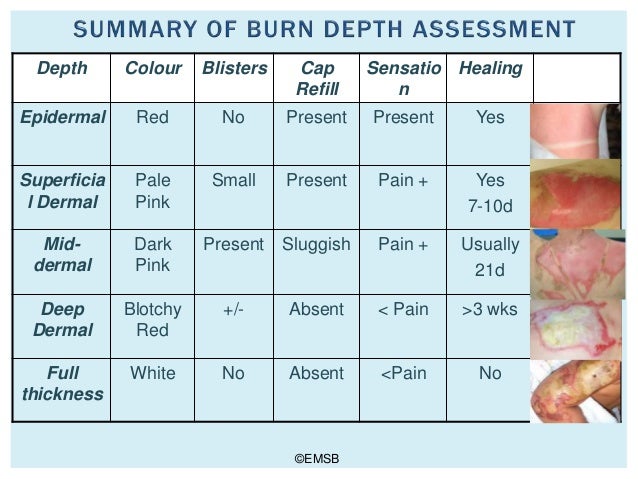 Taggart on burns uncovered then covered 2 wound assessment body diagram 
