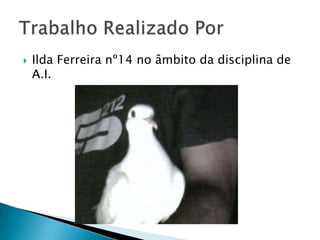    Ilda Ferreira nº14 no âmbito da disciplina de
    A.I.
 