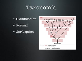 Taxonomía Clasificación Formal Jerárquica