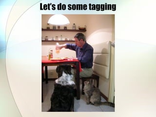Let’s do some tagging 