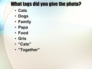 What tags did you give the photo? Cats Dogs Family Papa Food Gris “Cats” “Together” 