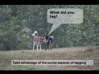 What are some ways that Nonprofits can pick the low Take advantage of the social aspects of tagging What did you  tag? 