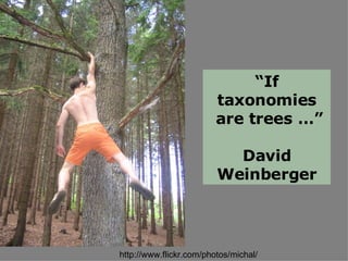 http://www.flickr.com/photos/michal/ “ If taxonomies are trees …” David Weinberger 