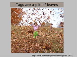 http://www.flickr.com/photos/thesullys/61095237 Tags are a pile of leaves 