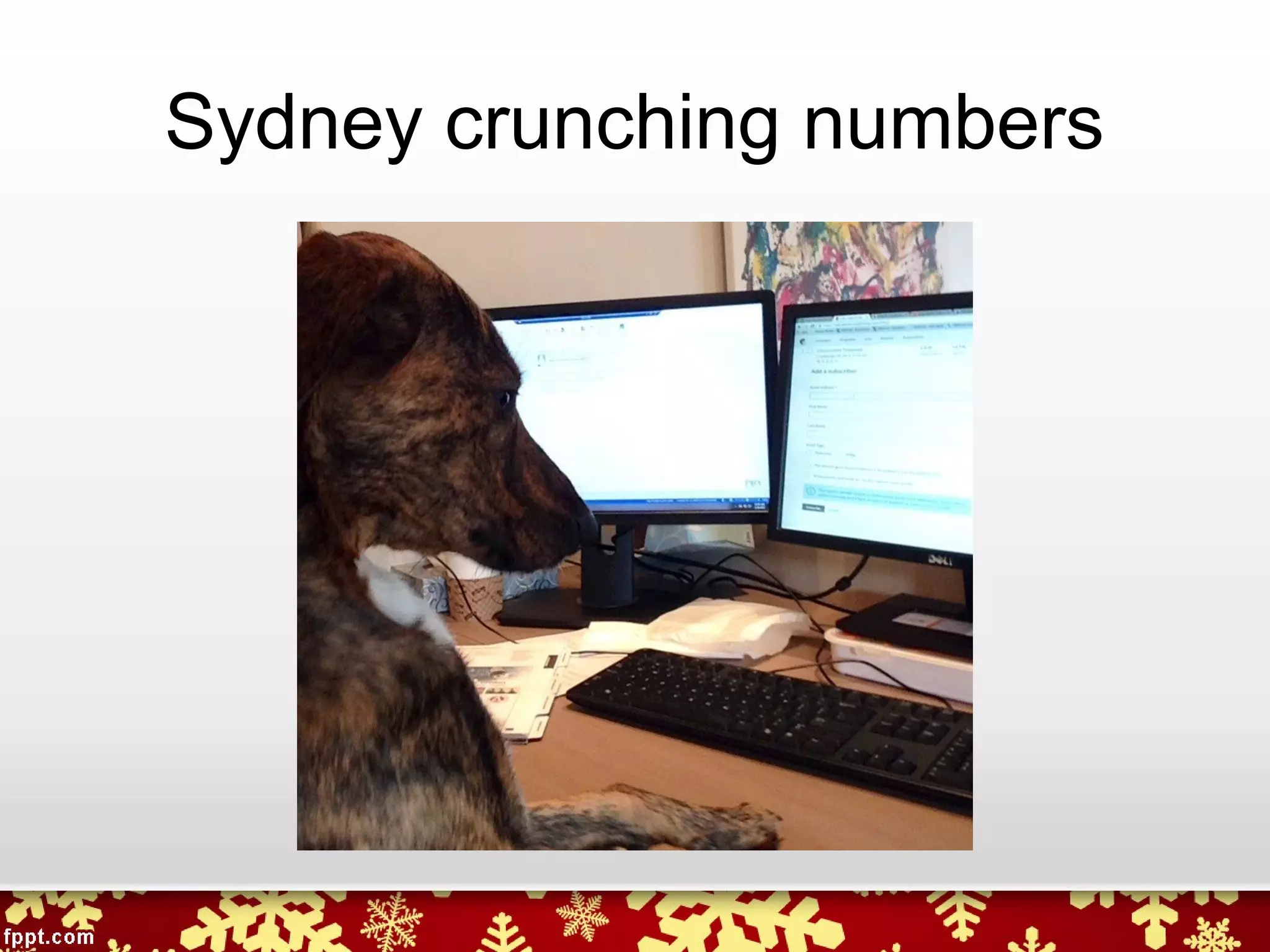 Sydney crunching numbers
 