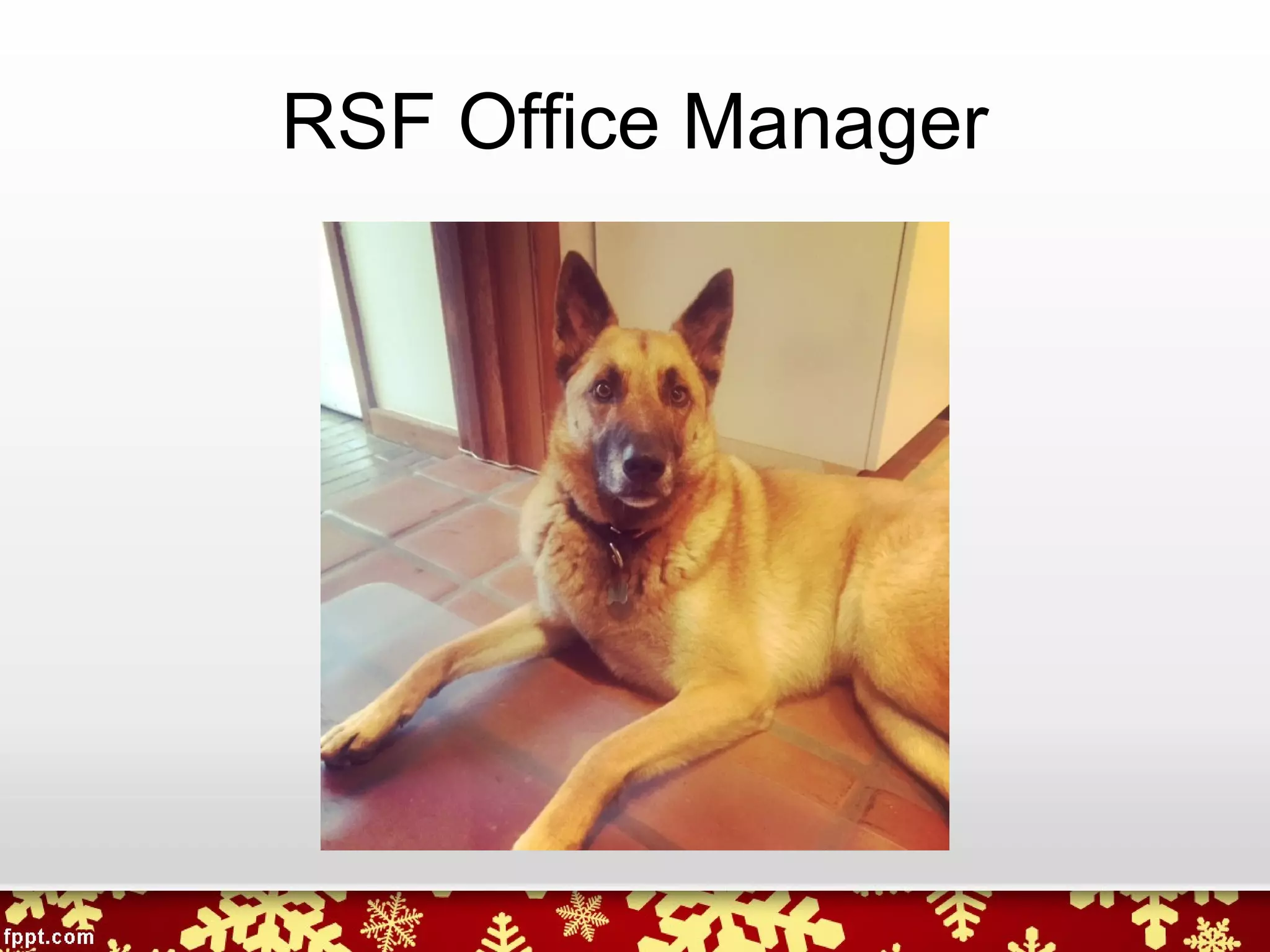 RSF Office Manager
 