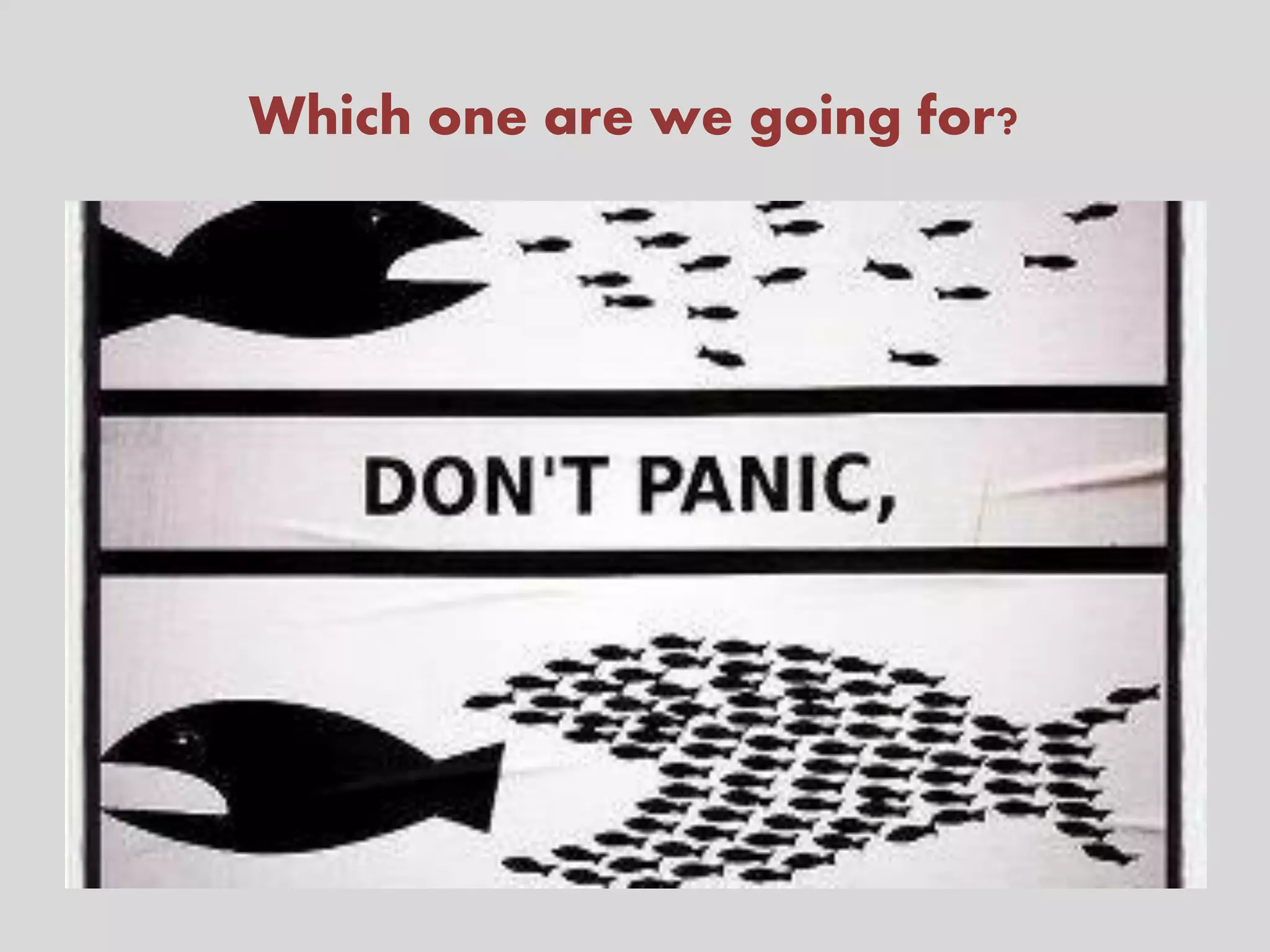 Which one are we going for?
 