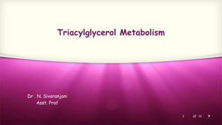 1 of 13
Dr . N. Sivaranjani
Asst. Prof
Triacylglycerol Metabolism
 